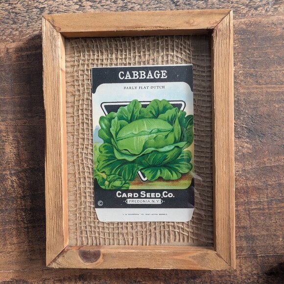 Framed Vintage 1920s Card Seed Co. Packets Set of 3 Burlap Mat Heirloom Cabbages - Picture 3 of 7